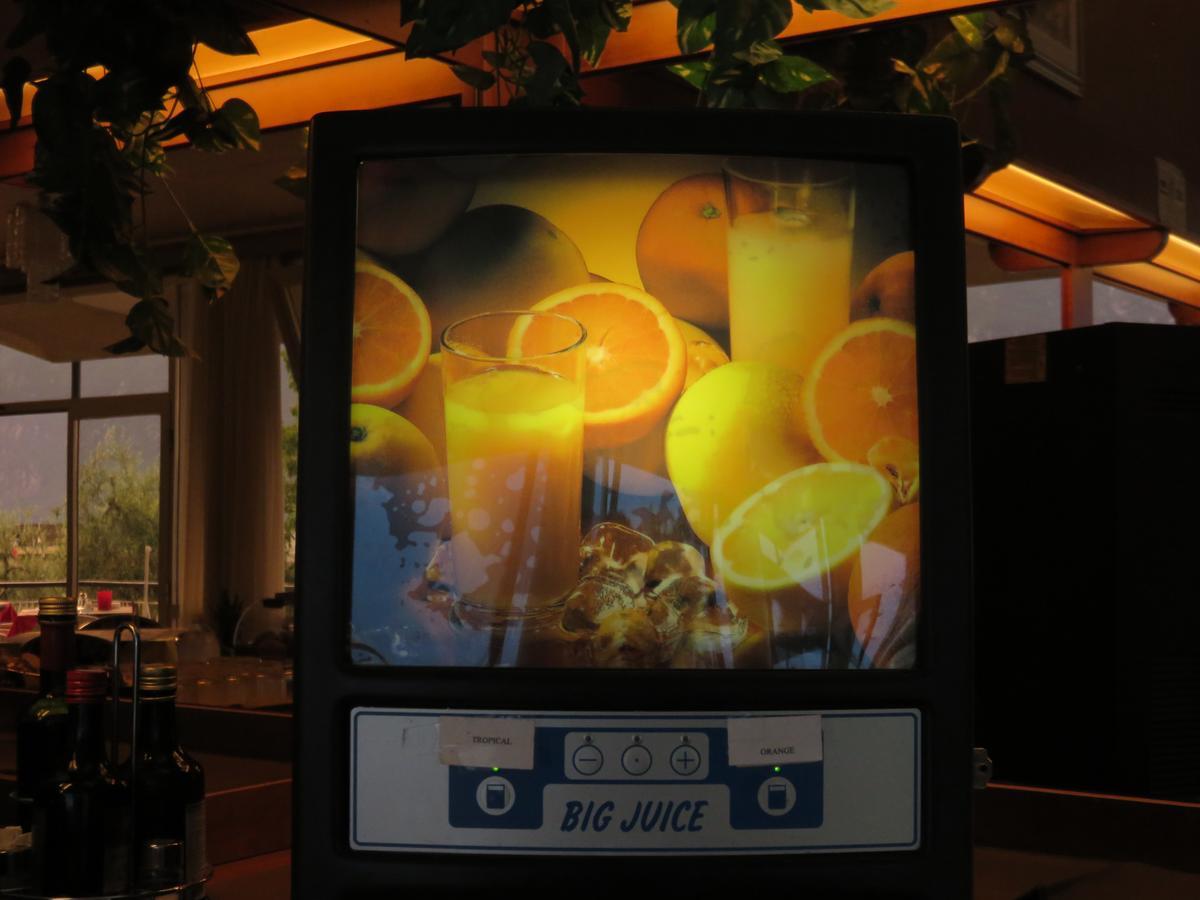 Hotel Garden Limone sul Garda Ngoại thất bức ảnh